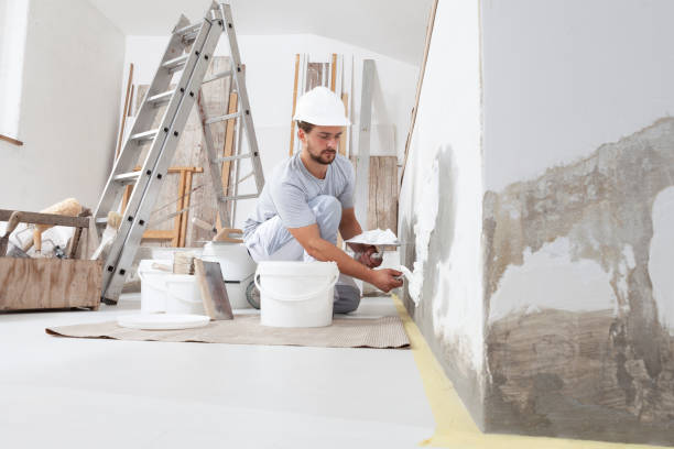 Reliable Kirtland Af, NM Mold Removal Solutions